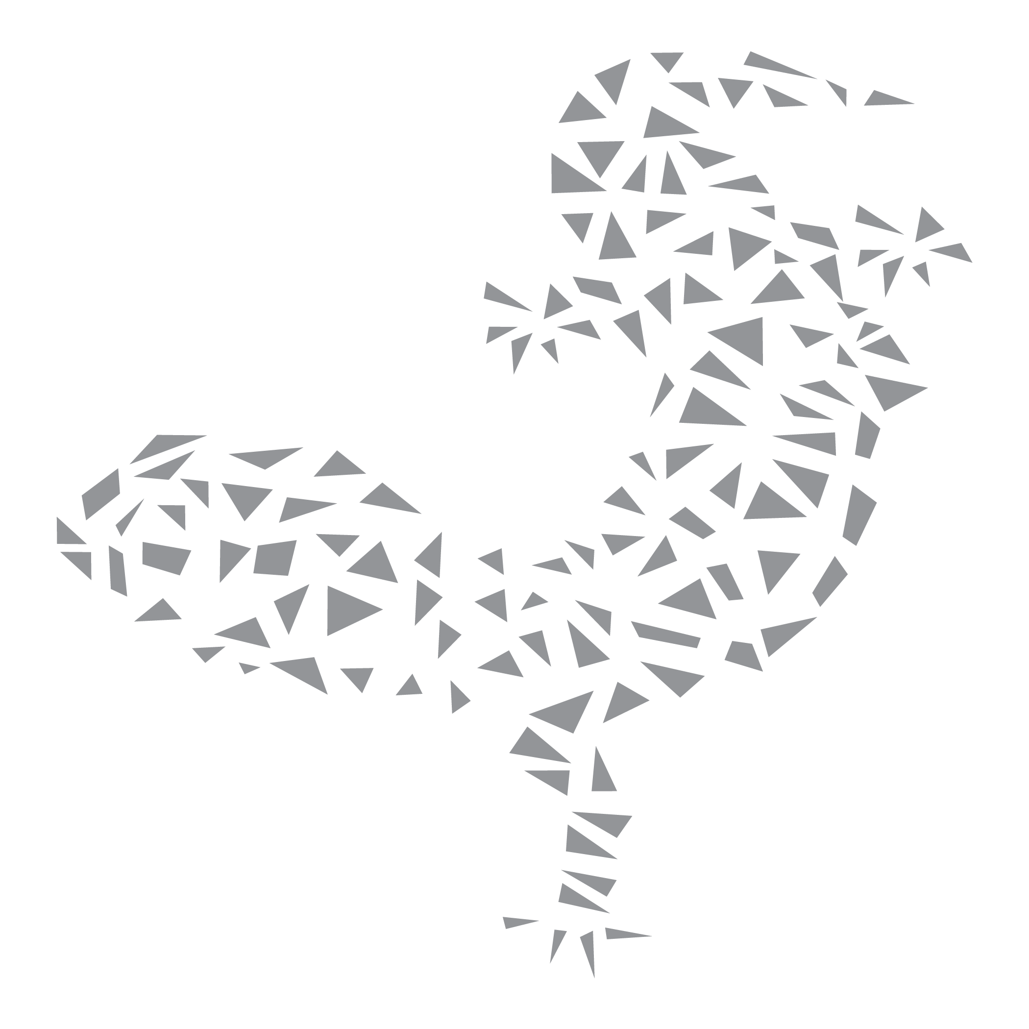 The Iguana Restaurant & Tequila Bar Menu